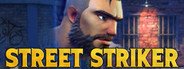 Street Striker System Requirements