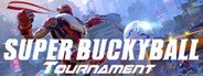 Super Buckyball Tournament System Requirements