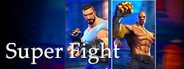 Super Fight System Requirements