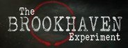 Can I Run The Brookhaven Experiment?