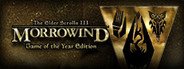 The Elder Scrolls III: Morrowind Game of the Year Edition System Requirements