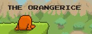 The OrangeRice System Requirements