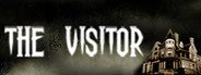Can I Run The Visitor?