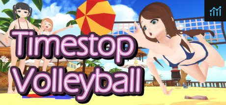 Timestop Volleyball PC Specs