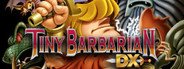 Tiny Barbarian DX System Requirements