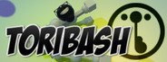 Toribash System Requirements