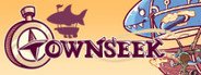 Townseek System Requirements