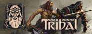 Tribal System Requirements