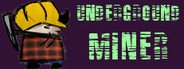 Underground Miner System Requirements