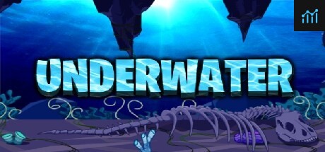 Underwater System Requirements