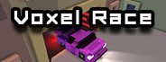 Voxel Race System Requirements